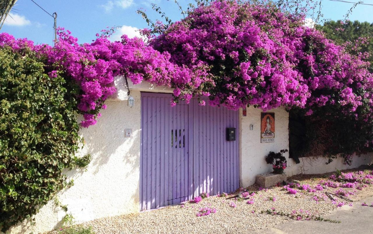Tara Casa Ξενοδοχείο Καρταχένα Εξωτερικό φωτογραφία
