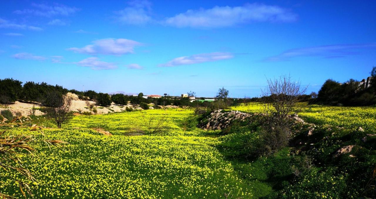 Tara Casa Ξενοδοχείο Καρταχένα Εξωτερικό φωτογραφία